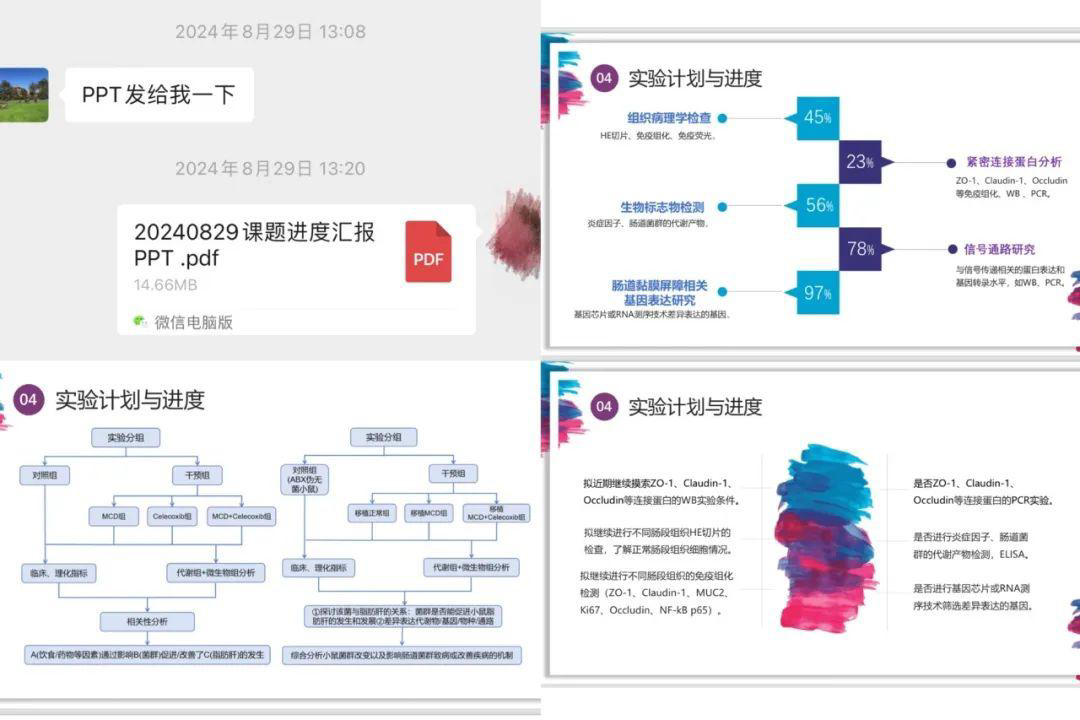 开题报告对比截图-塞来昔布
