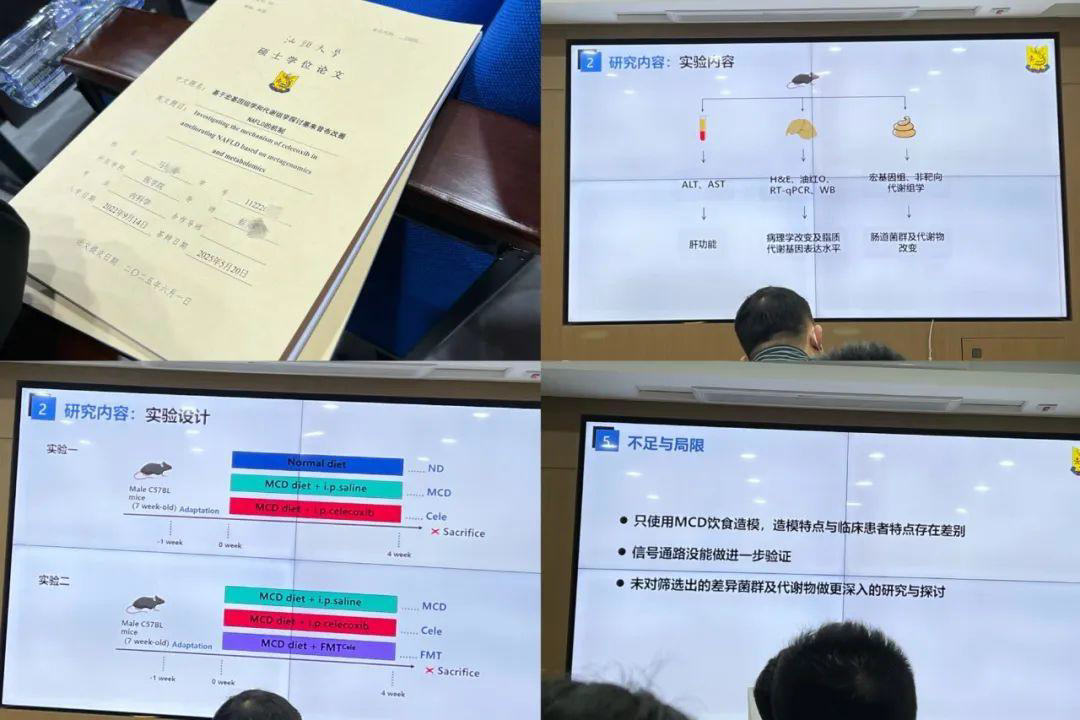 开题报告对比截图-塞来昔布2